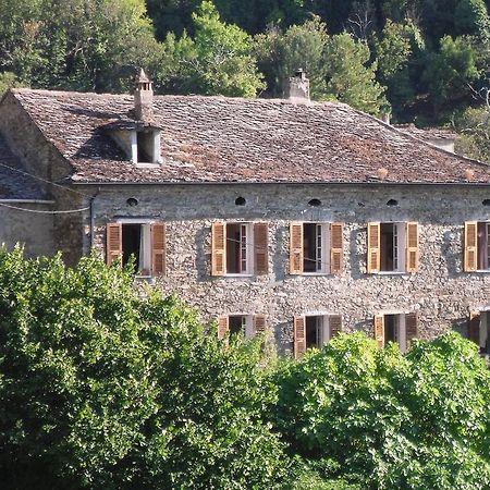 Chambre D'Hotes La Marlotte Castello-di-Rostino Exterior photo