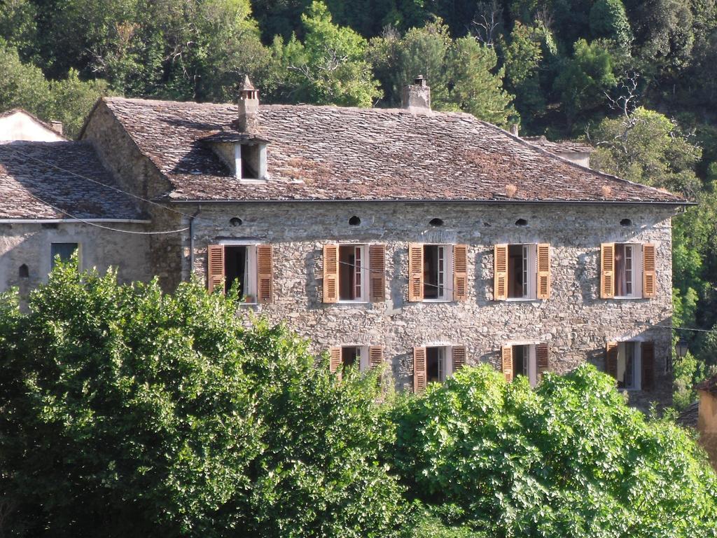 Chambre D'Hotes La Marlotte Castello-di-Rostino Exterior photo