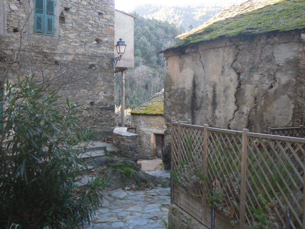 Chambre D'Hotes La Marlotte Castello-di-Rostino Exterior photo